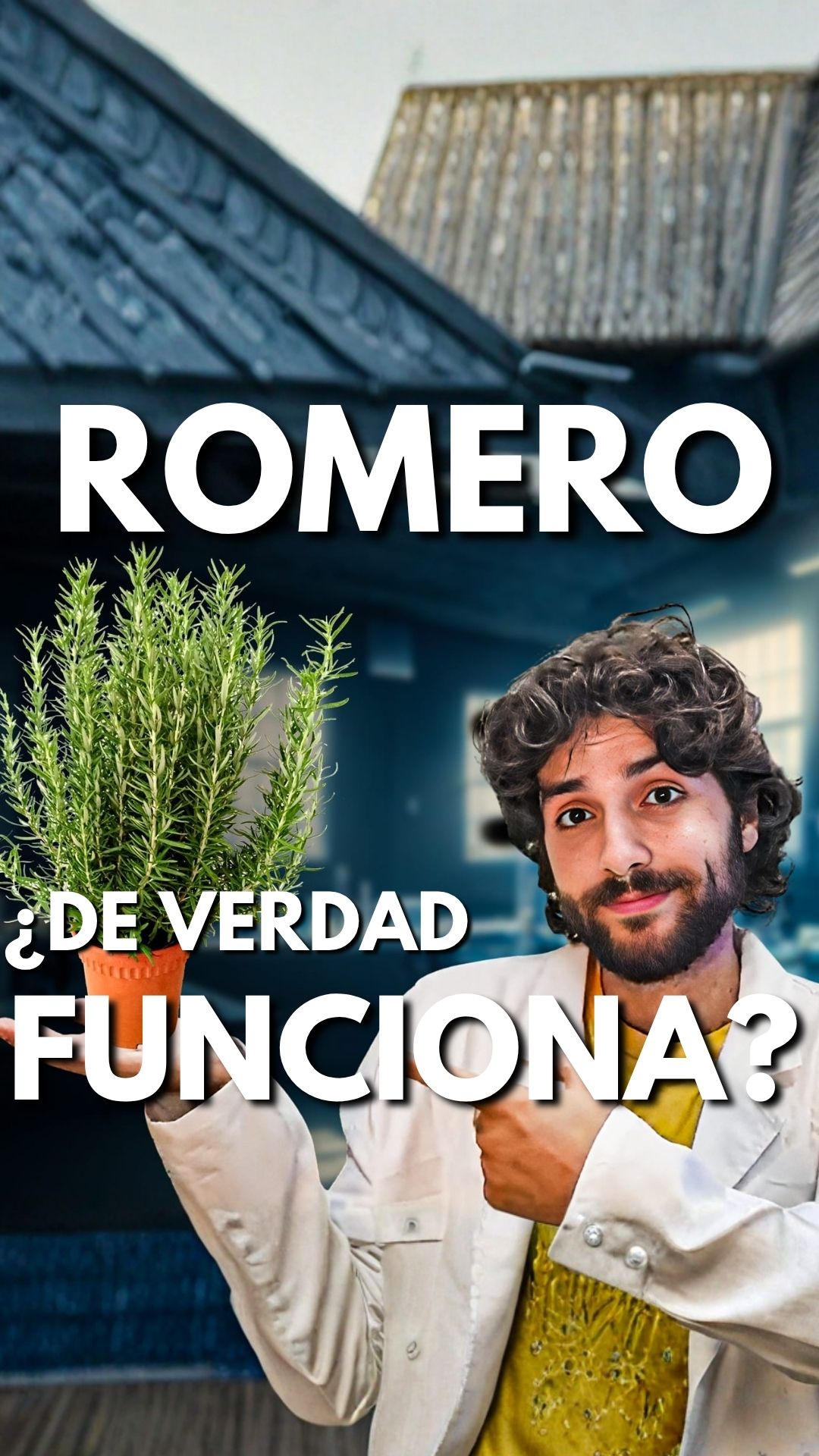 Aromaterapia Científica: El Romero – Ciencia, memoria y&nbsp;energía