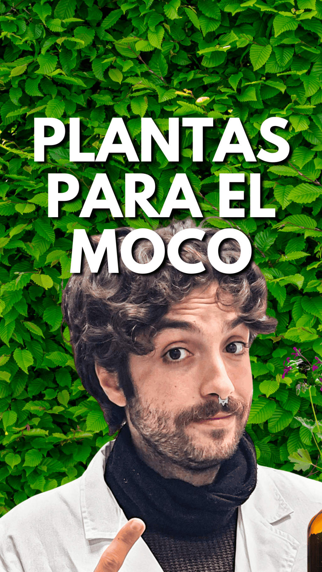 La planta nº1 para eliminar el moco y la flema (según la&nbsp;ciencia)